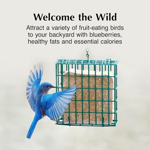 C&S Berry Delight Suet Cakes for Wild Birds - No Melt Formula, 11.75 Ounces, Pack of 8
