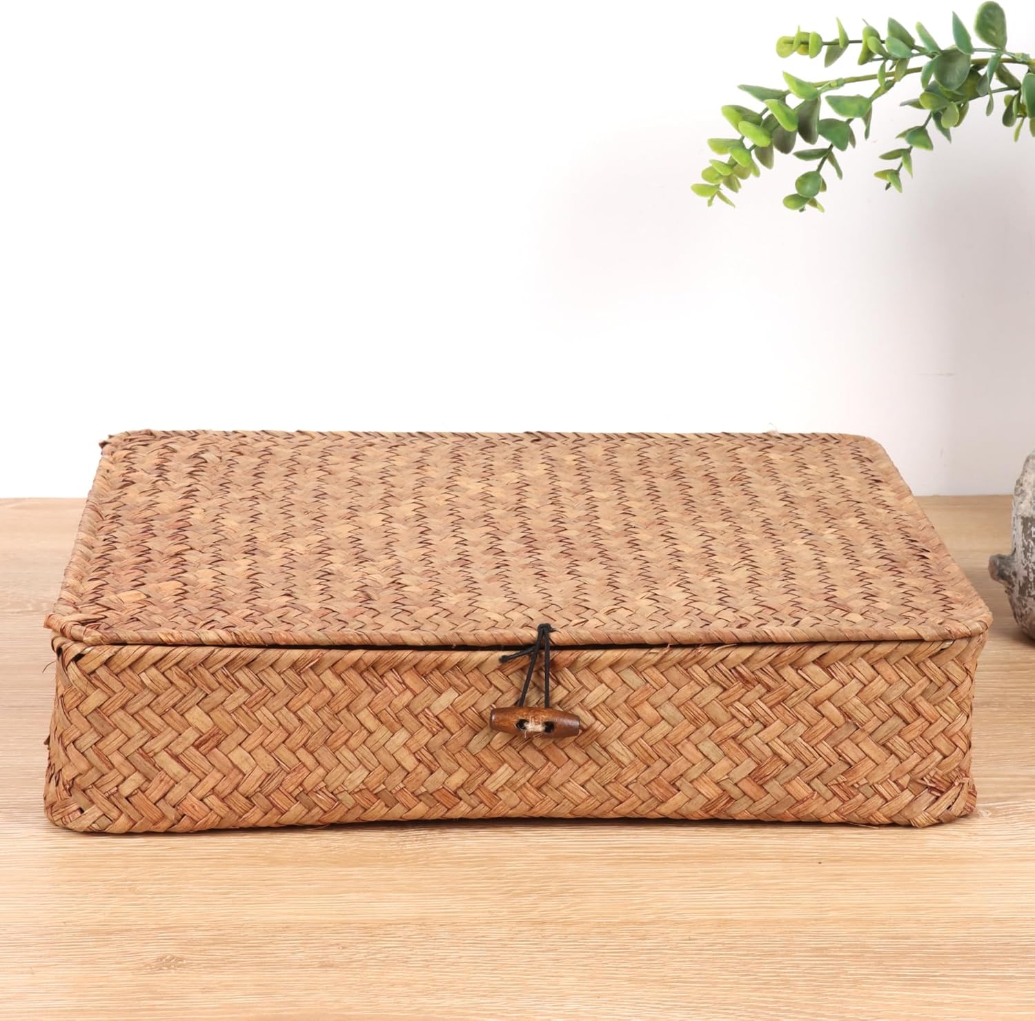 Moosky Wicker Shelf Baskets - Handwoven Seagrass Storage Bins with Lids | Coffee Set of 2