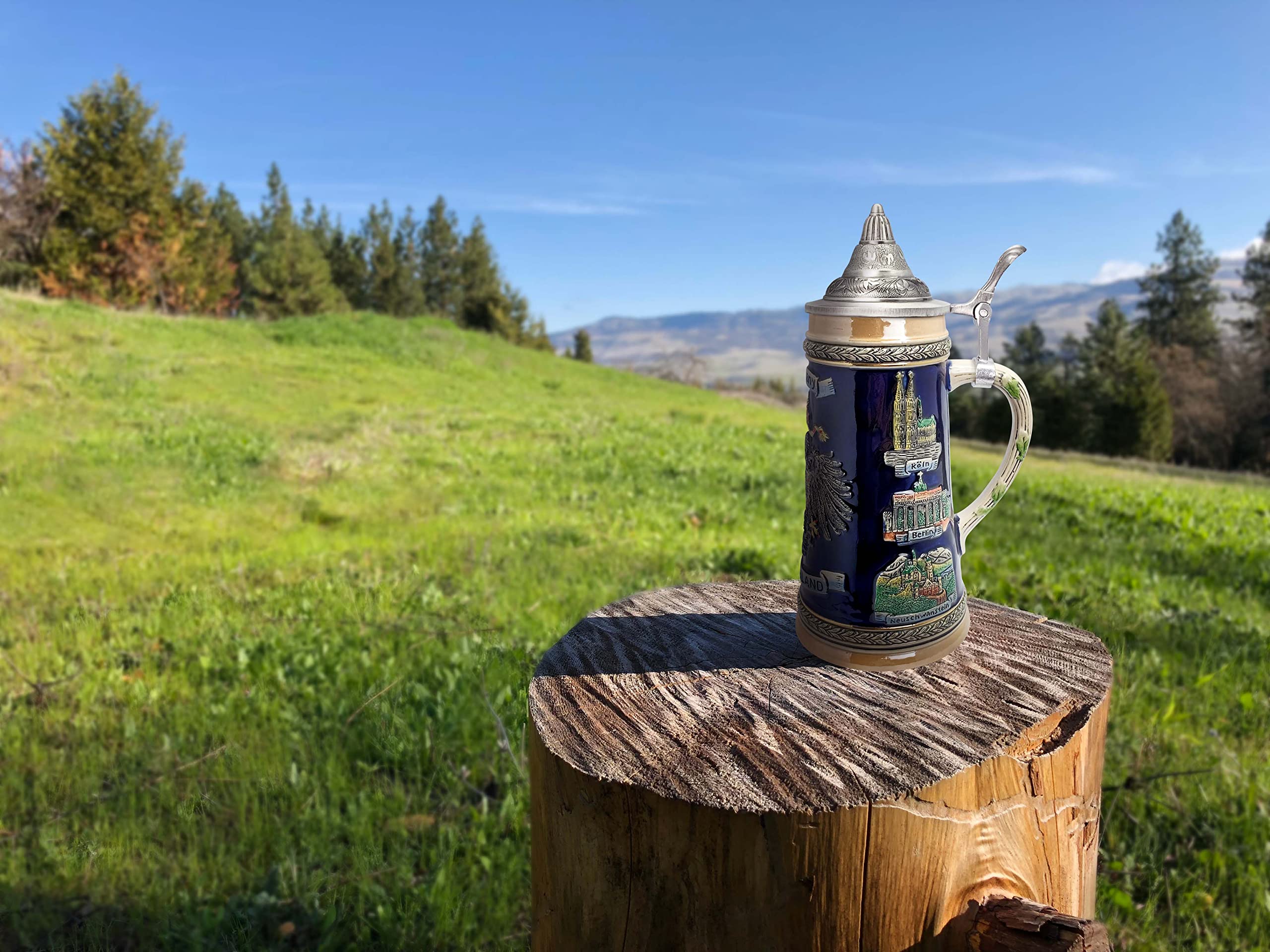 Essence of Europe Gifts 1 L Deutschland German Beer Stein with Lid – German Adler (Eagle) Tankard Hand Painted Engraved Cities Beer Stein Mug - Stein Mug By E.H.G