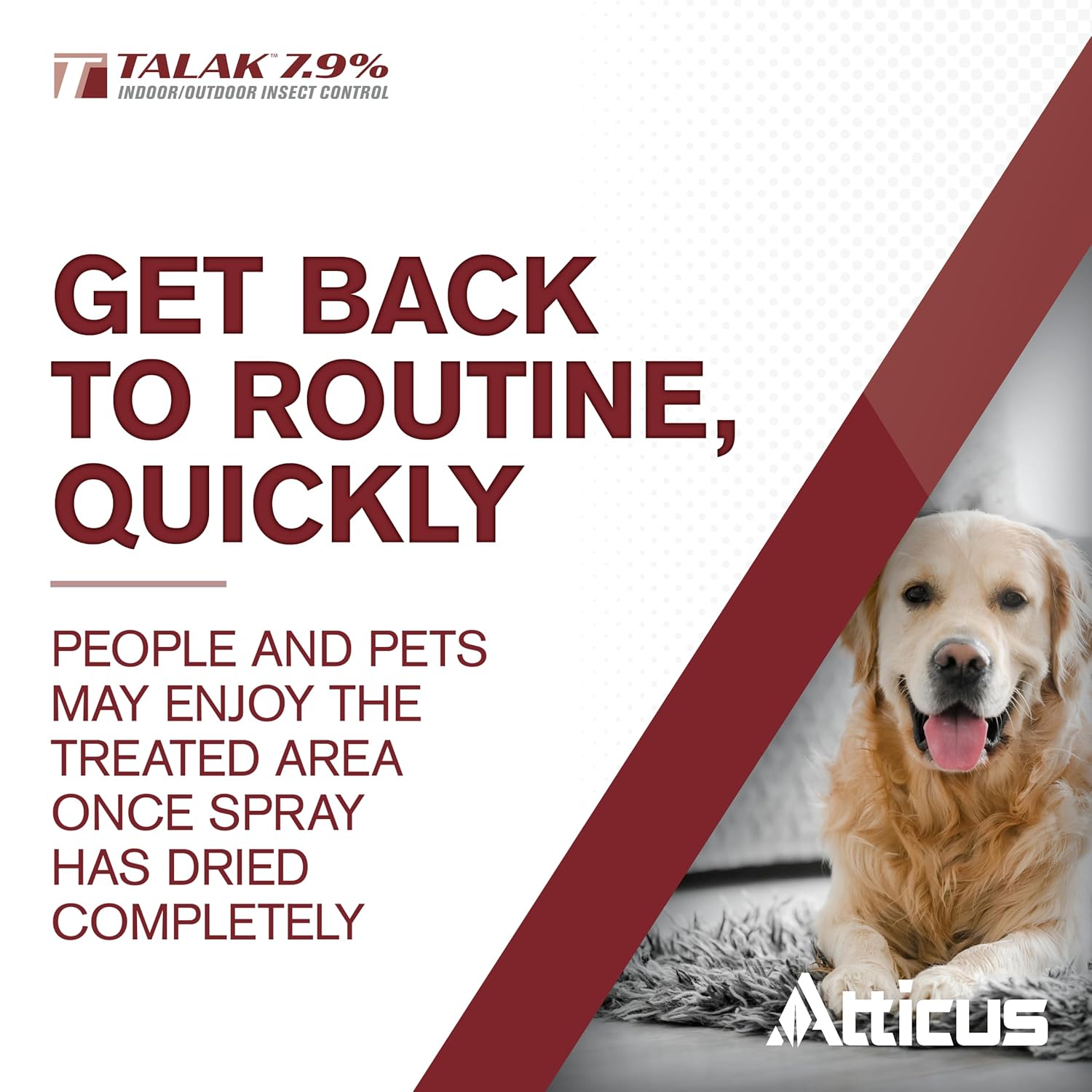 Atticus Talak Insect Control - Bifenthrin Concentrate for Indoor/Outdoor Use (32 Ounce)