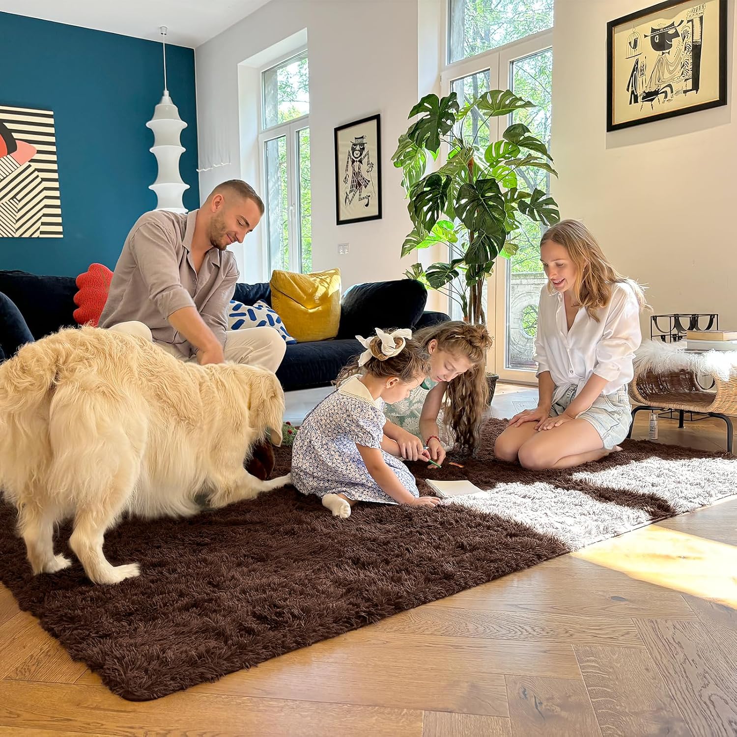 OLANLY Large Area Rugs - Soft Fluffy Shaggy Indoor Carpet for Living Room & Bedroom | 6x9 ft, Machine Washable