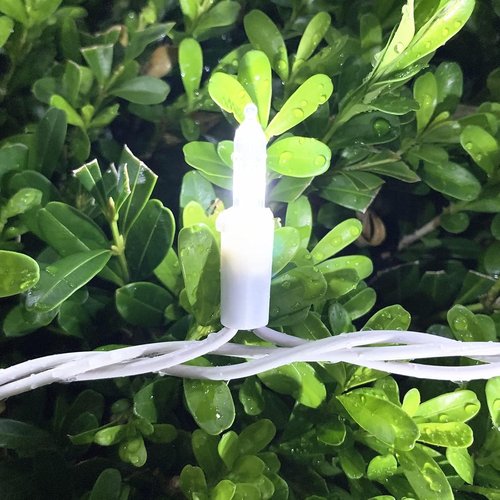100 LED White Christmas Lights - UL Certified Commercial Grade String Lights | 35 FT for Indoor & Outdoor Use