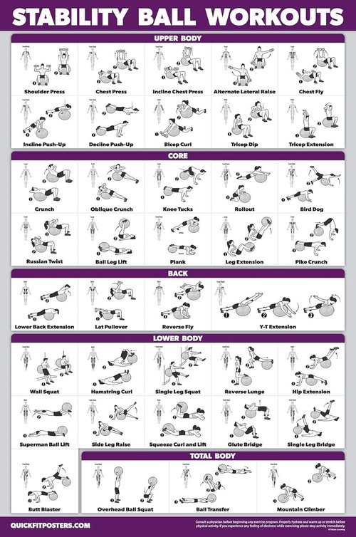 Exercise Poster Set by LAMINATED - 11 Pack of Dumbbell, Kettlebell, Yoga & More | 18" x 24" Size
