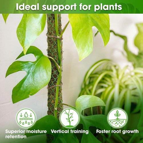 DUSPRO 42” Natural Moss Pole - Premium Support for Climbing Plants | Ideal for Monstera & Indoor Use