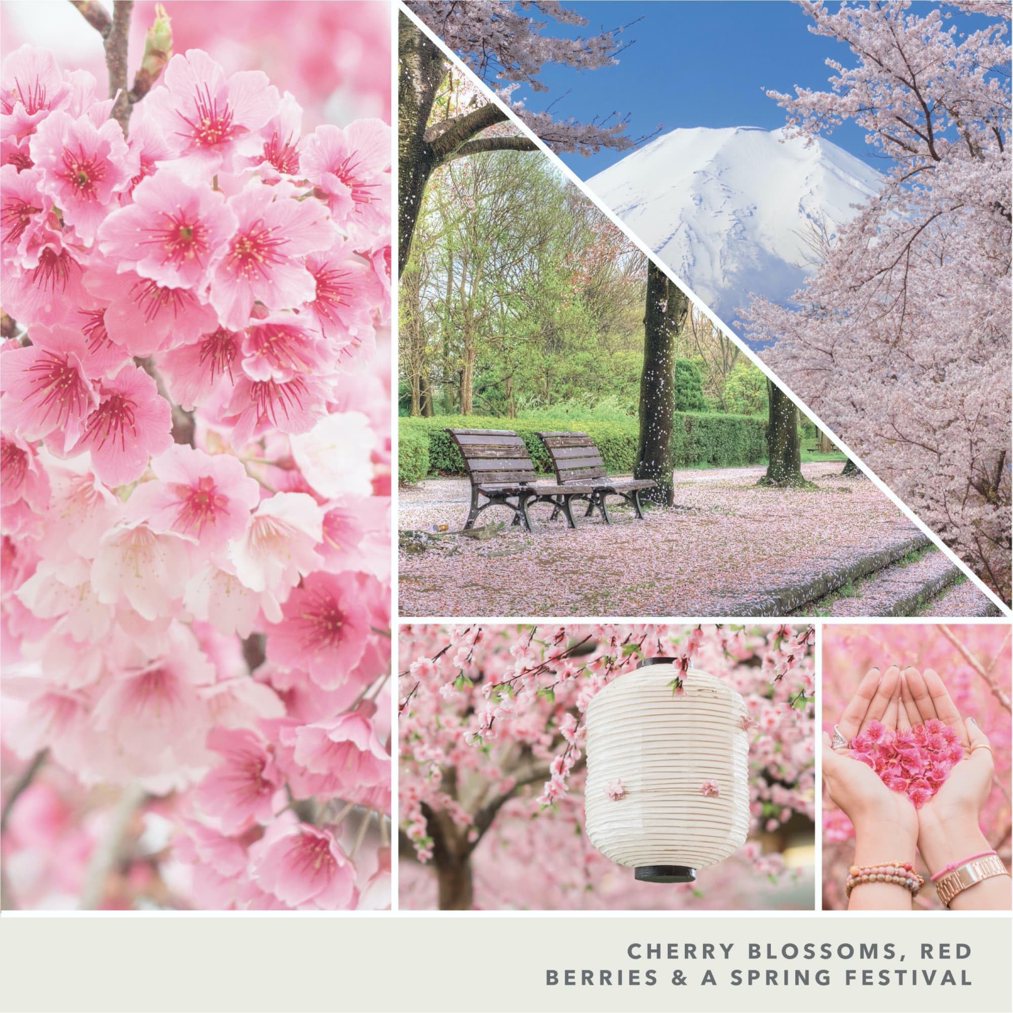 Yankee Candle Sakura Blossom Festival Large Jar Candle White Rose