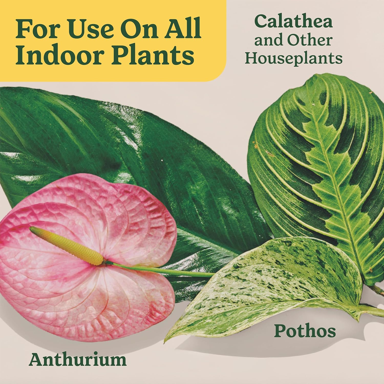 Miracle-Gro Indoor Plant Food - Liquid Nutrient Solution for Houseplants & Vegetables | 8 fl. oz. (2-Pack)
