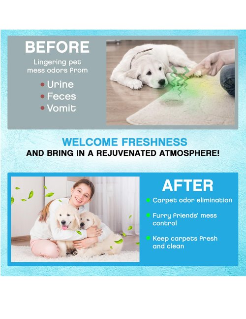 NonScents Carpet & Rug Odor Eliminator - Safe & Fragrance-Free Pet Carpet Deodorizer - Cat and Dog Smell Neutralizer - Removes Pet Urine Odors - Fresh Scent Powder in Pet Areas at Home