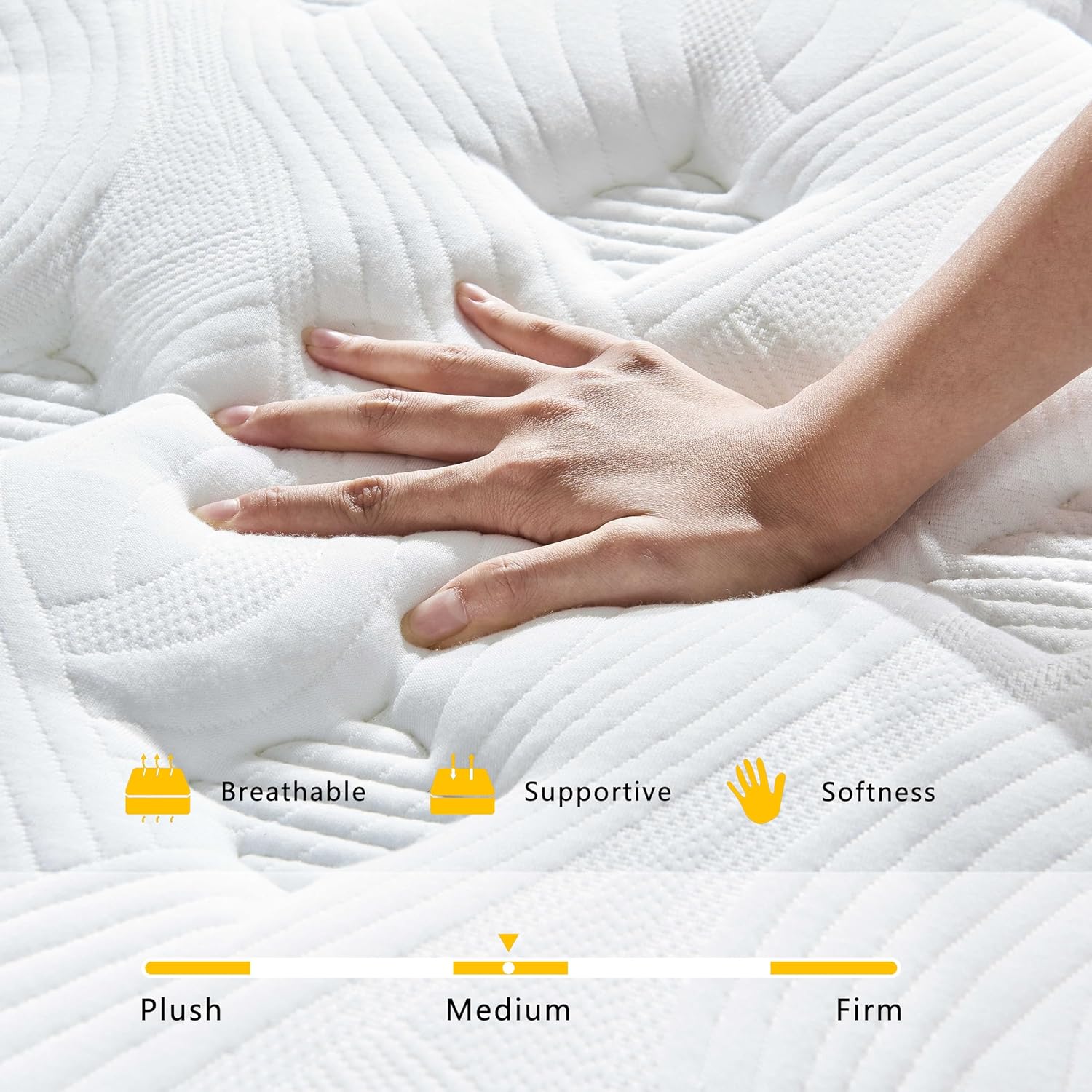 Regine Switzerland Queen Mattress - 12 Inch Medium Firm with Pocketed Springs for Pressure Relief