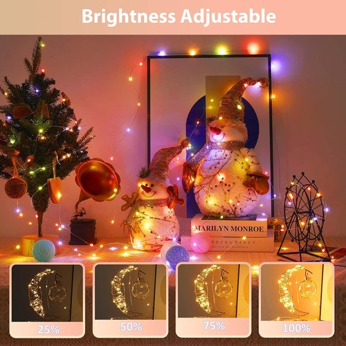 Ariceleo Battery Operated String Lights - 50 LEDs with Remote Control & Timer | 5M/16.4ft Warm White & Multi-Color