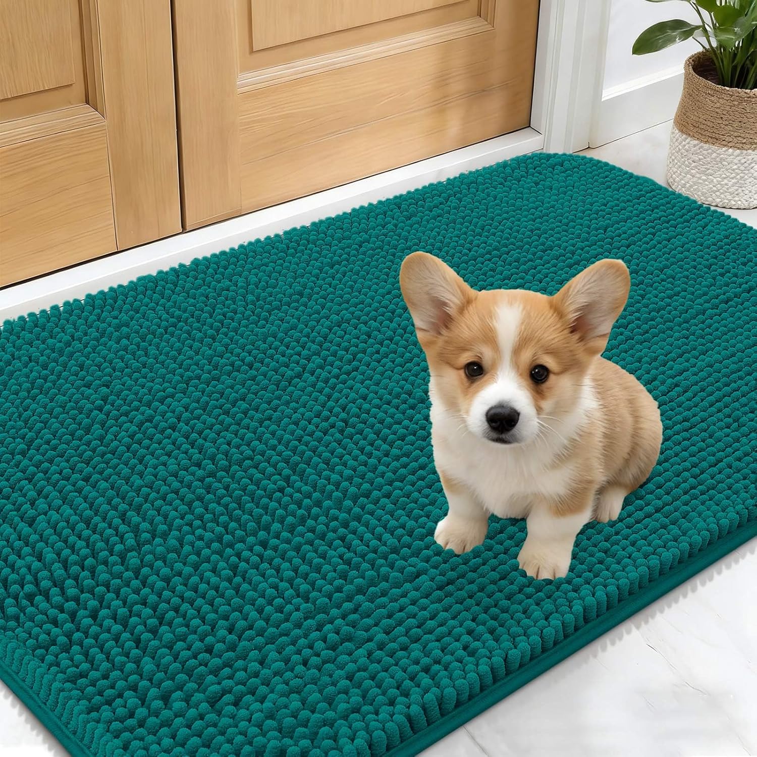 OLANLY Dog Door Mat - Absorbent Non-Slip Chenille for Muddy Paws | 24x16, Quick Dry, Lake Blue