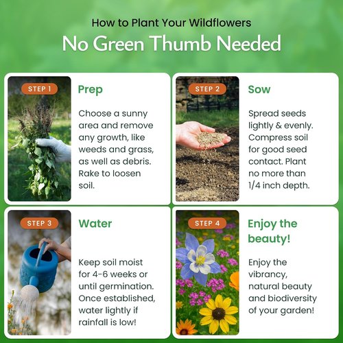 Created By Nature Colorado Wildflower Seed Mix - 14 Flower Varieties | 53,000+ Seeds for Vibrant Gardens
