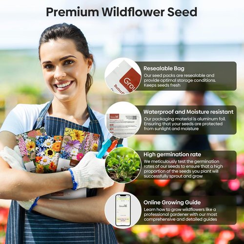 Groundio Wildflower Seeds - 26 Variety Mix for Pollinators | 1/4 lb Bulk, Plant in Spring or Fall