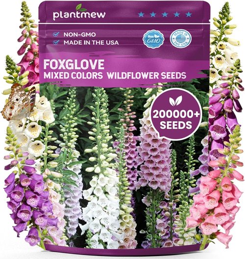 Foxglove Seeds - Perennial Mixed Colors, 200,000+ Bulk Pack for Easy Home Gardening | Attract Hummingbirds & Bees