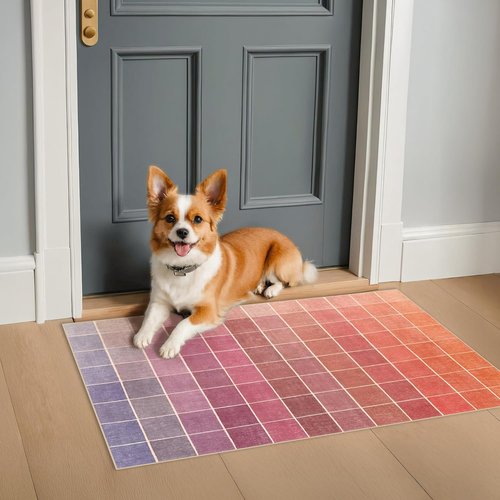 **Regine Switzerland Mid Century Modern Ombre Pink Checkered Rug - Washable 2x3 Small Area Rug for Entryway & Kitchen**