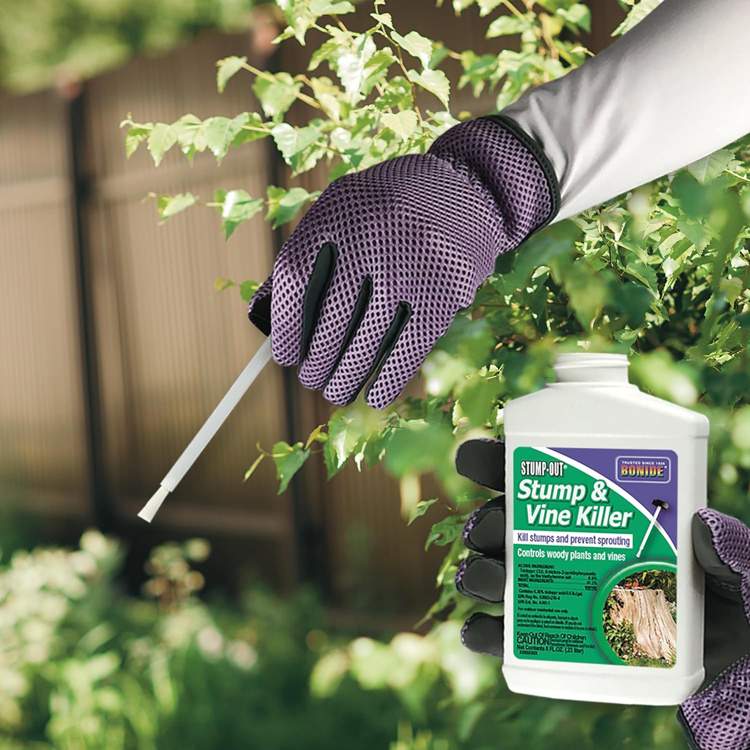 Stump-Out Stump & Vine Killer - Fast-Acting 8 oz Concentrate with Applicator for Home Use