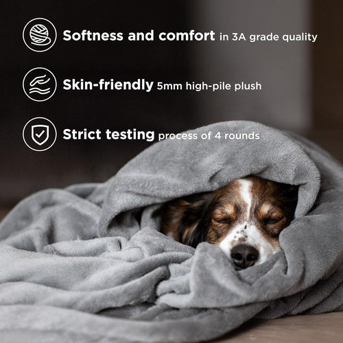 Bedsure Queen Size Blanket & 4-Piece Sheet Set - Soft, Cozy Bedding Essentials