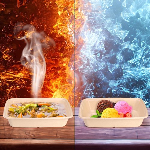 Eorbow 100 Pack 32 oz Rectangle Paper Bowls, 9" Disposable Large Salad Bowl, Microwavable Bagasse Lunch Plate for School, Heavy Duty Food Catering Container for Burrito Baked Potato Taco Nacho Party