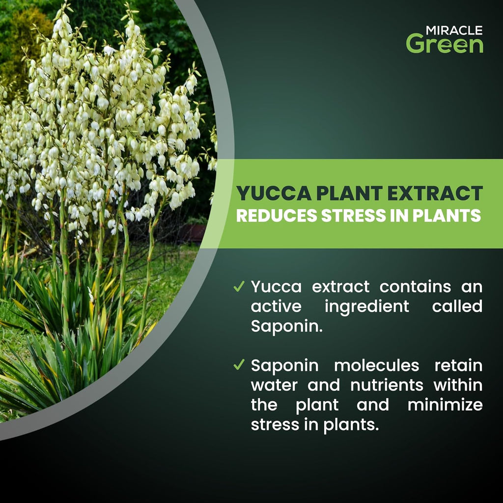 Miracle Green Fast-Acting Liquid Fertilizer - Special Tree Sap & Yucca Extract Formula | All-Purpose Plant Food (8 oz)