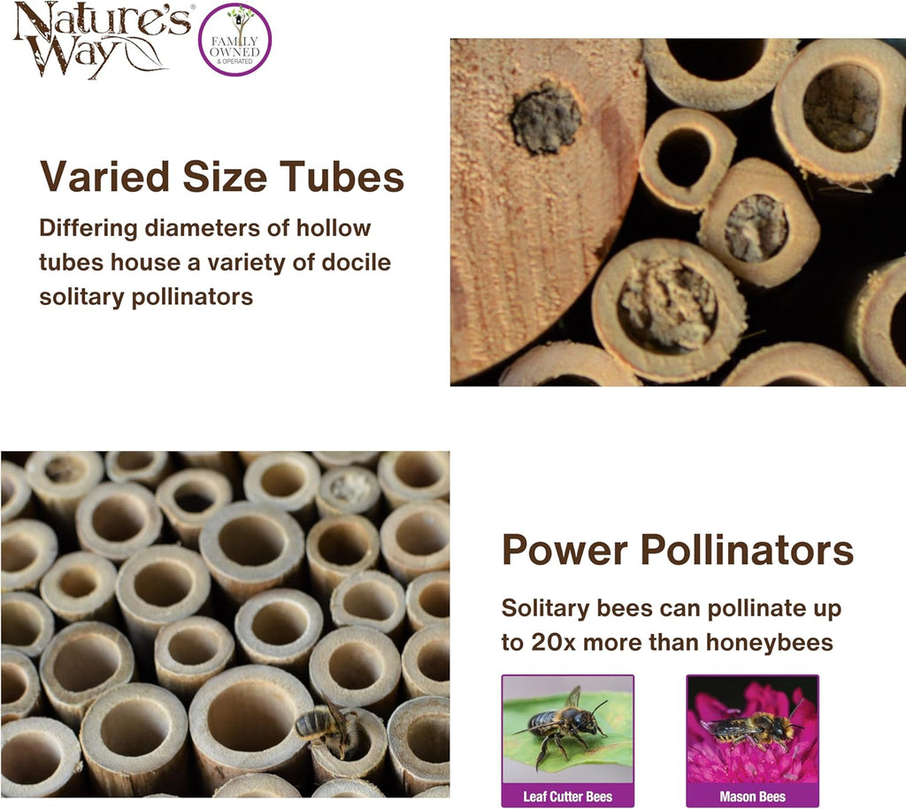 Nature's Way Bee House - PWH1-C Teal Color | Attract Pollinators to Your Garden