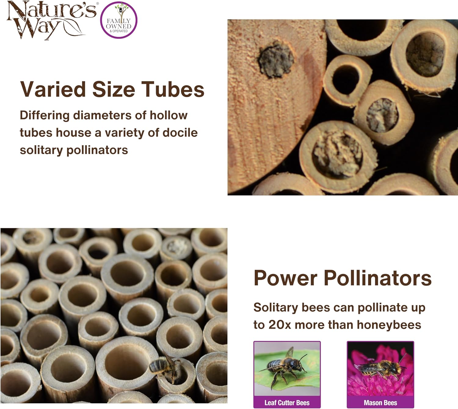 Nature's Way Bee House - PWH1-C Teal Color | Attract Pollinators to Your Garden