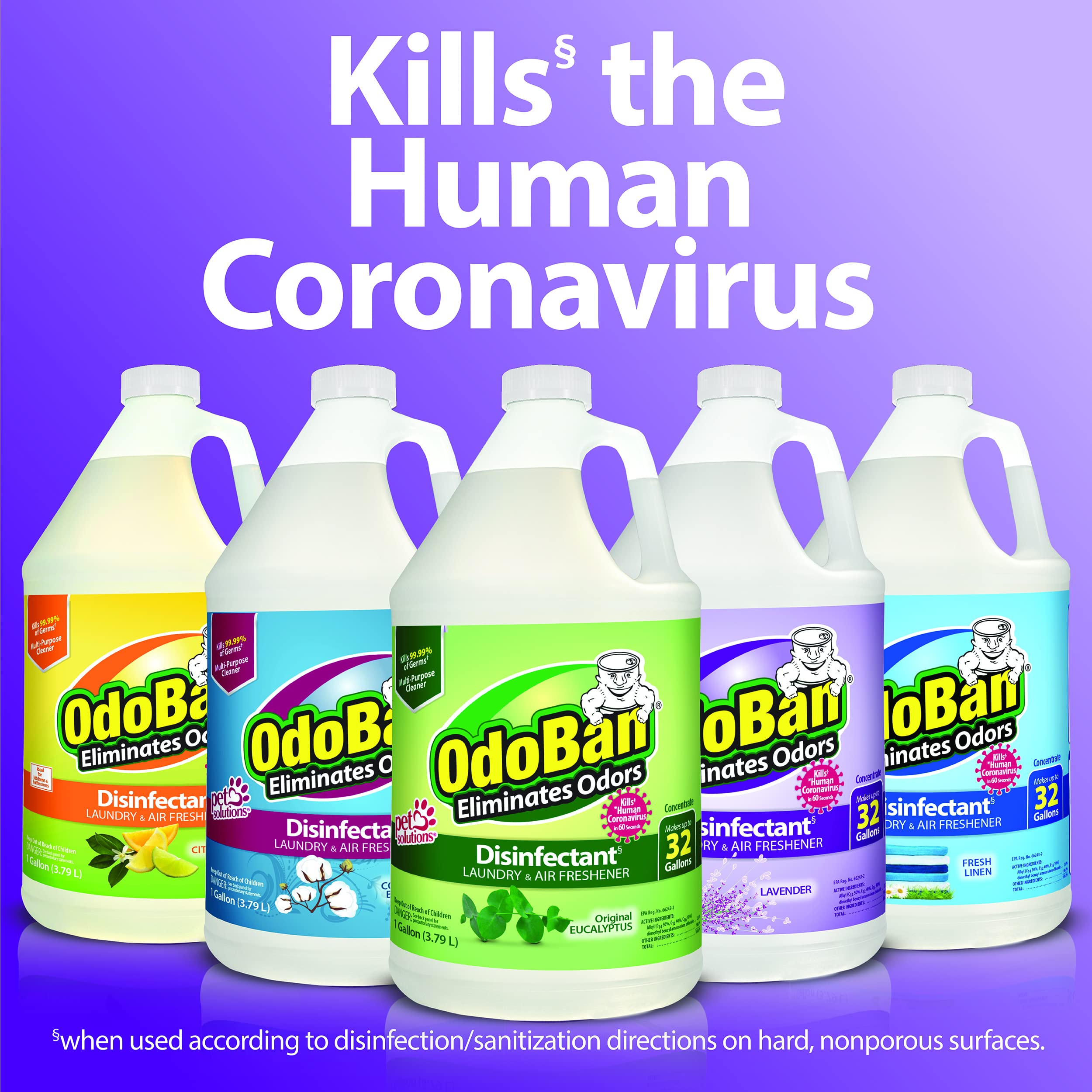 OdoBan Disinfectant Concentrate and Odor Eliminator, Made in the USA, Cotton Breeze Scent, 4 Gallons