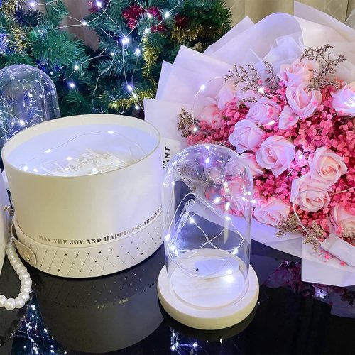 Etinga 20 Pack Battery Operated Fairy String Lights - 10 LED Cool White on 3.3ft Copper Wire | Perfect for Weddings, Parties, and Decorations