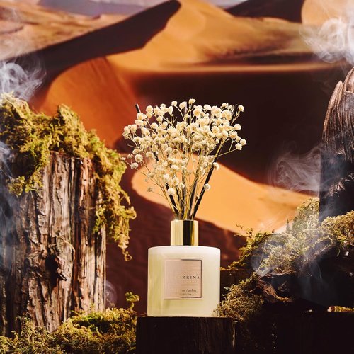 COCORRÍNA Reed Diffuser - Moroccan Amber Scented Set with Sticks & Baby's Breath | 6.7 Fl. Oz for Home Decor