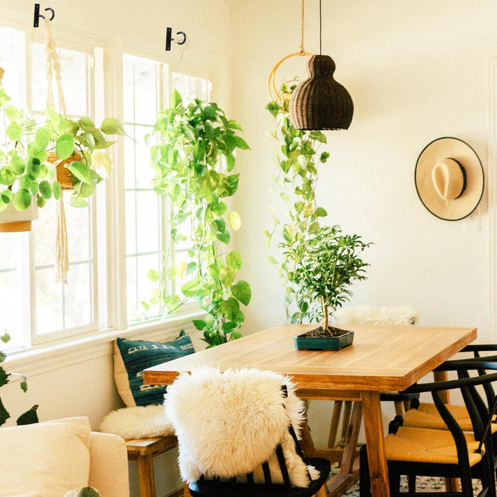 Skiennix Ceiling Hooks - 2.5-Inch Plant Hangers for Indoor/Outdoor Pots | Durable Wall Hooks for Decor