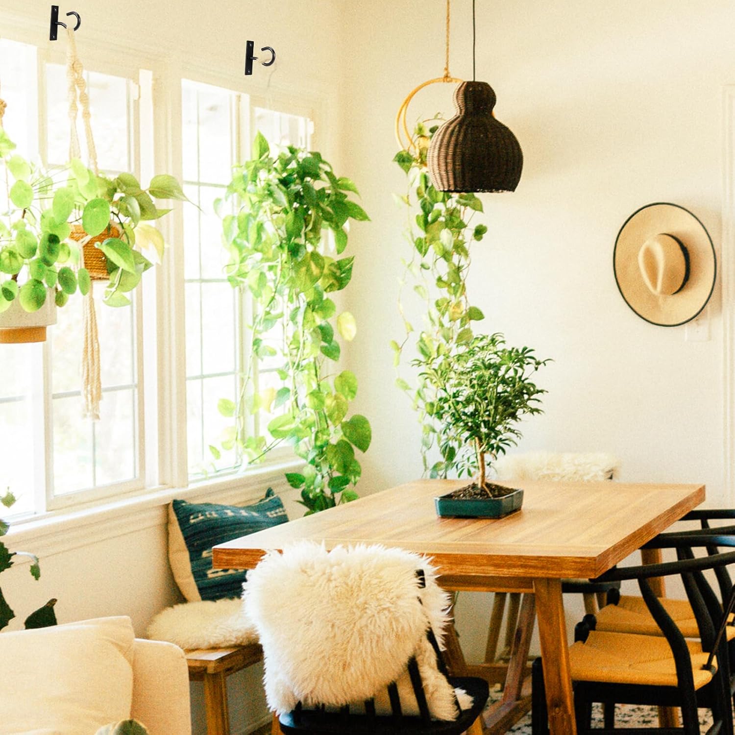 Skiennix Ceiling Hooks - 2.5-Inch Plant Hangers for Indoor/Outdoor Pots | Durable Wall Hooks for Decor