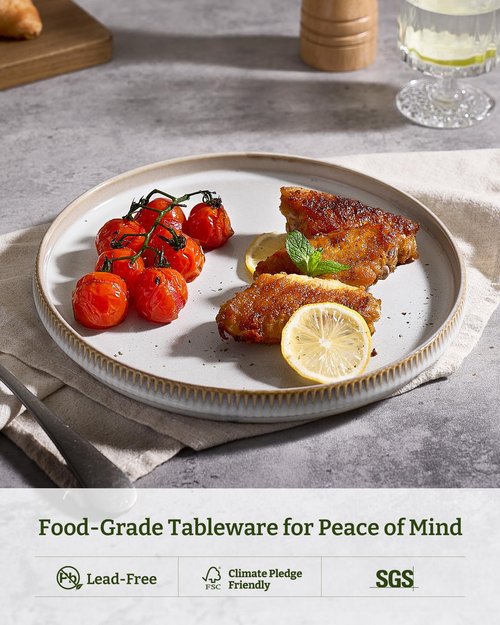 famiware Star Dinner Plates for 6, 10 inches Plate Set, Scratch Resistant, Stoneware Dinnerware, Kitchen Modern Rustic Serving Dishes, Cappuccino White
