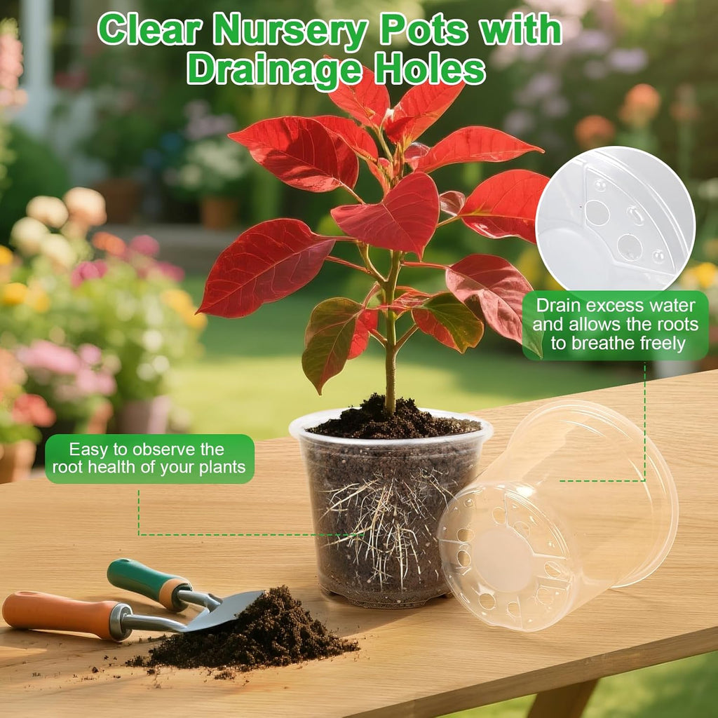 Skiennix Large Clear Nursery Pots - 10/8/6/5 Inch with Drainage Holes | 16 Pack Plastic Plant Pots for Succulents and Flowers