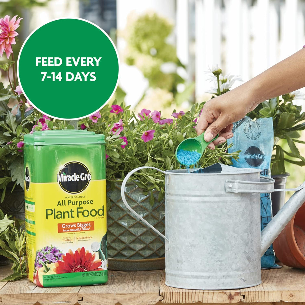 Miracle-Gro Water Soluble All-Purpose Plant Food - Fertilizer for Indoor & Outdoor Plants | 5 lbs