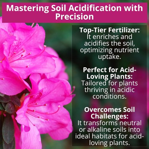 GardenWise 8-4-8 Acidic Fertilizer - Iron-Rich Plant Food for Azaleas, Hydrangeas & More | 12 OZ