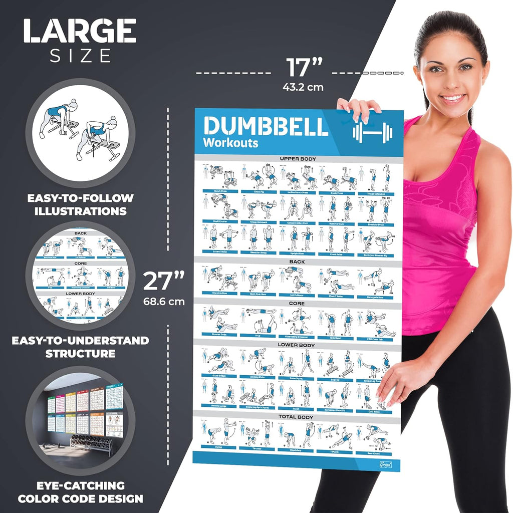 12-Pack Laminated Workout Posters by [Brand Name] - Essential Exercise Charts for Home Gym | Dumbbell, Yoga, Kettlebell & More
