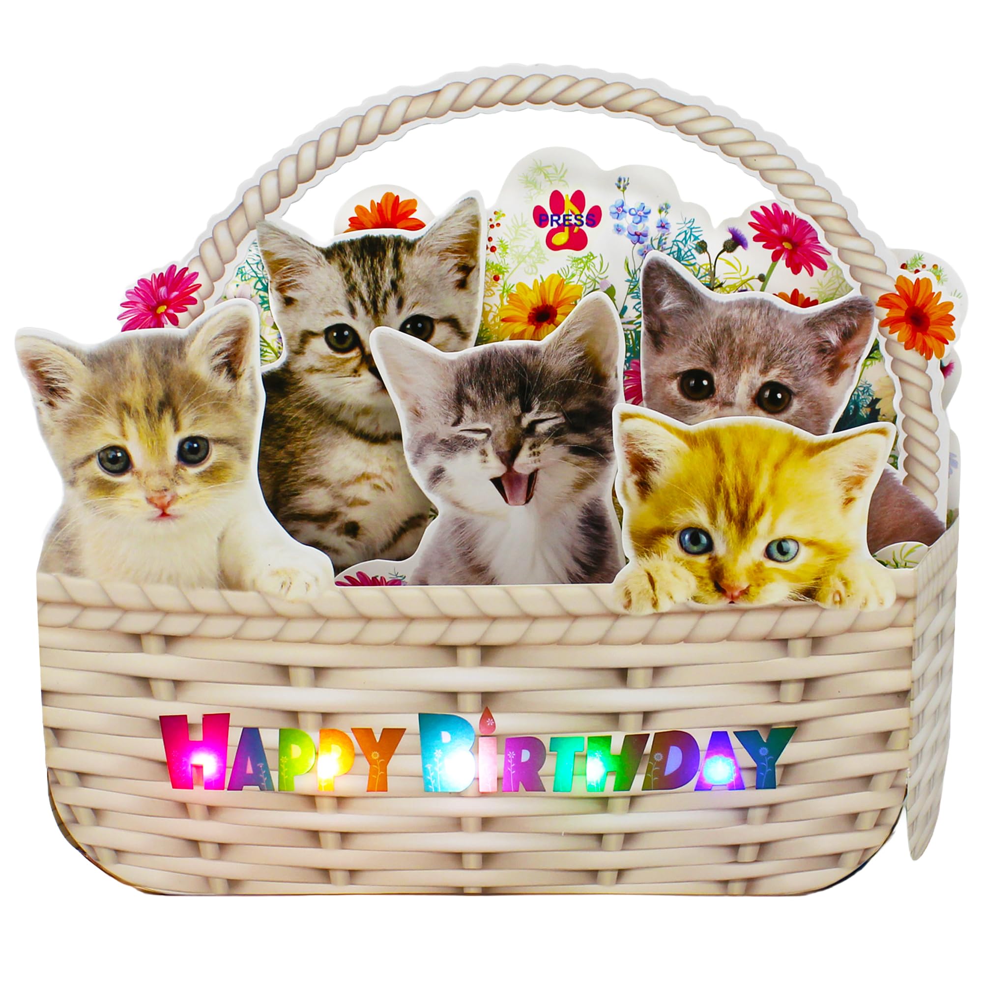 Miss Girlie Girl Musical Cat Birthday Pop-Up Card with LED Lights – 2 Happy Birthday Songs Meows & Violin – Cute Kittens in Flower Basket – Light Up 3D Greeting Card for Cat Lovers, Kids, Women, Friends