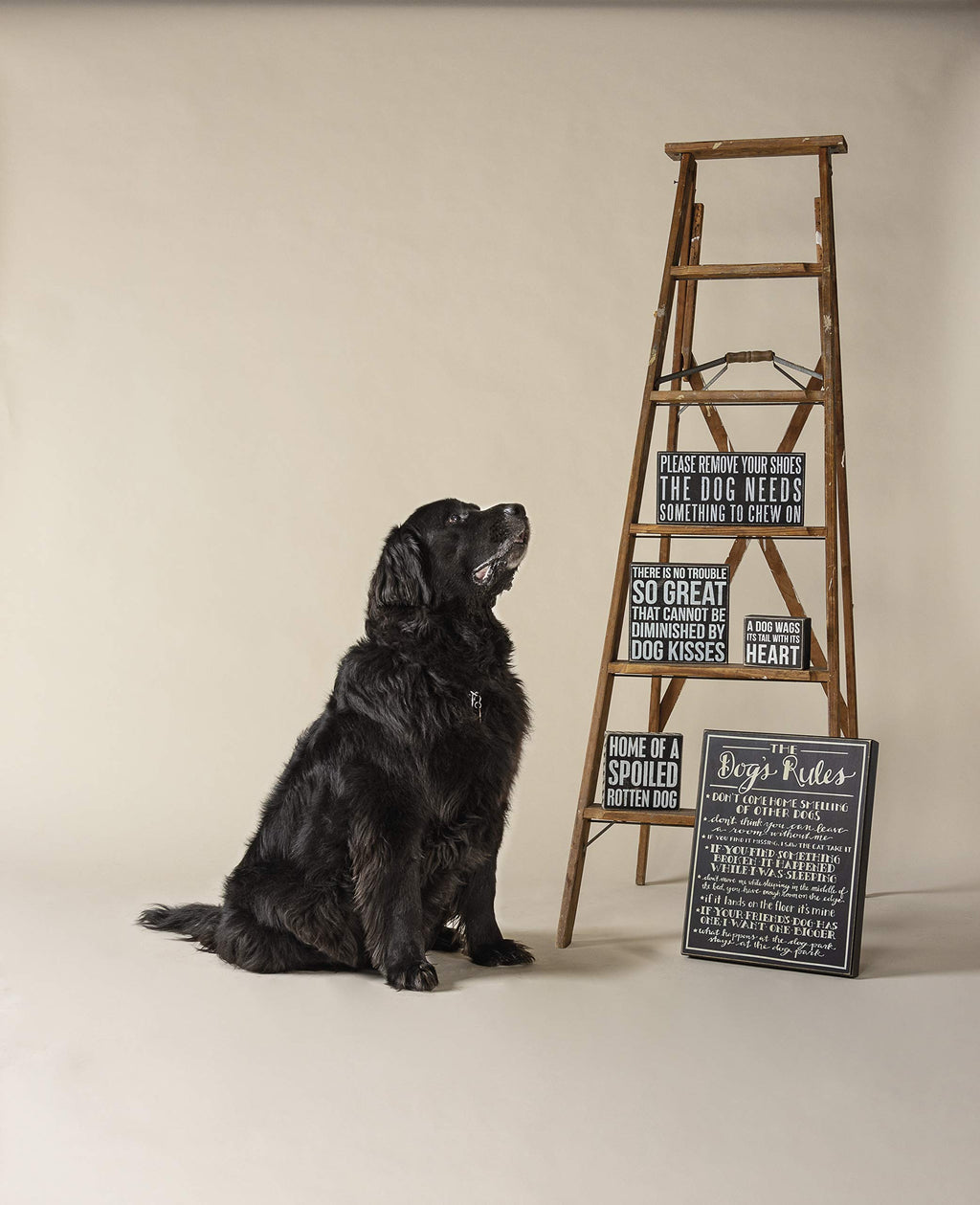 Primitives by Kathy 31243 The Dog's Rules Box Sign, 13.25" x 17"