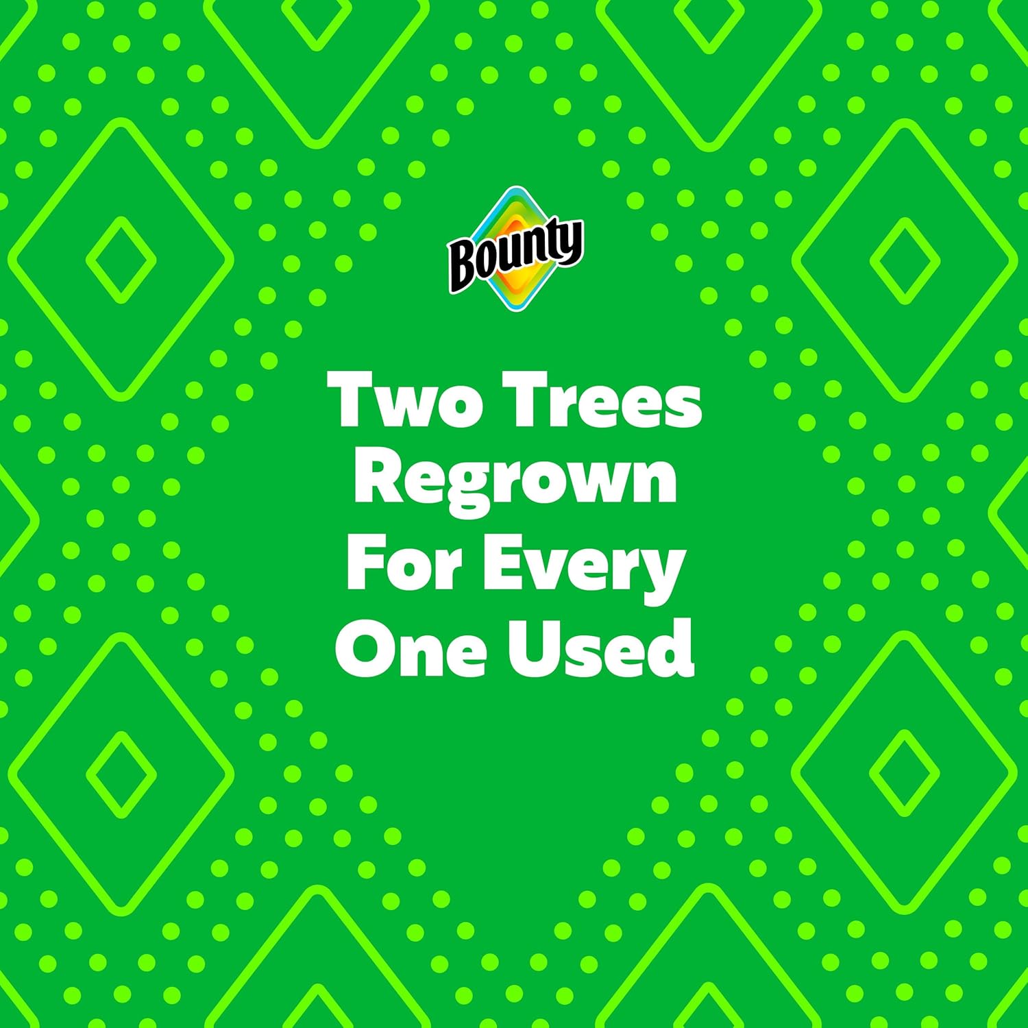 Bounty Select-A-Size Paper Towels - White, 2 Triple Rolls for Ultimate Absorbency