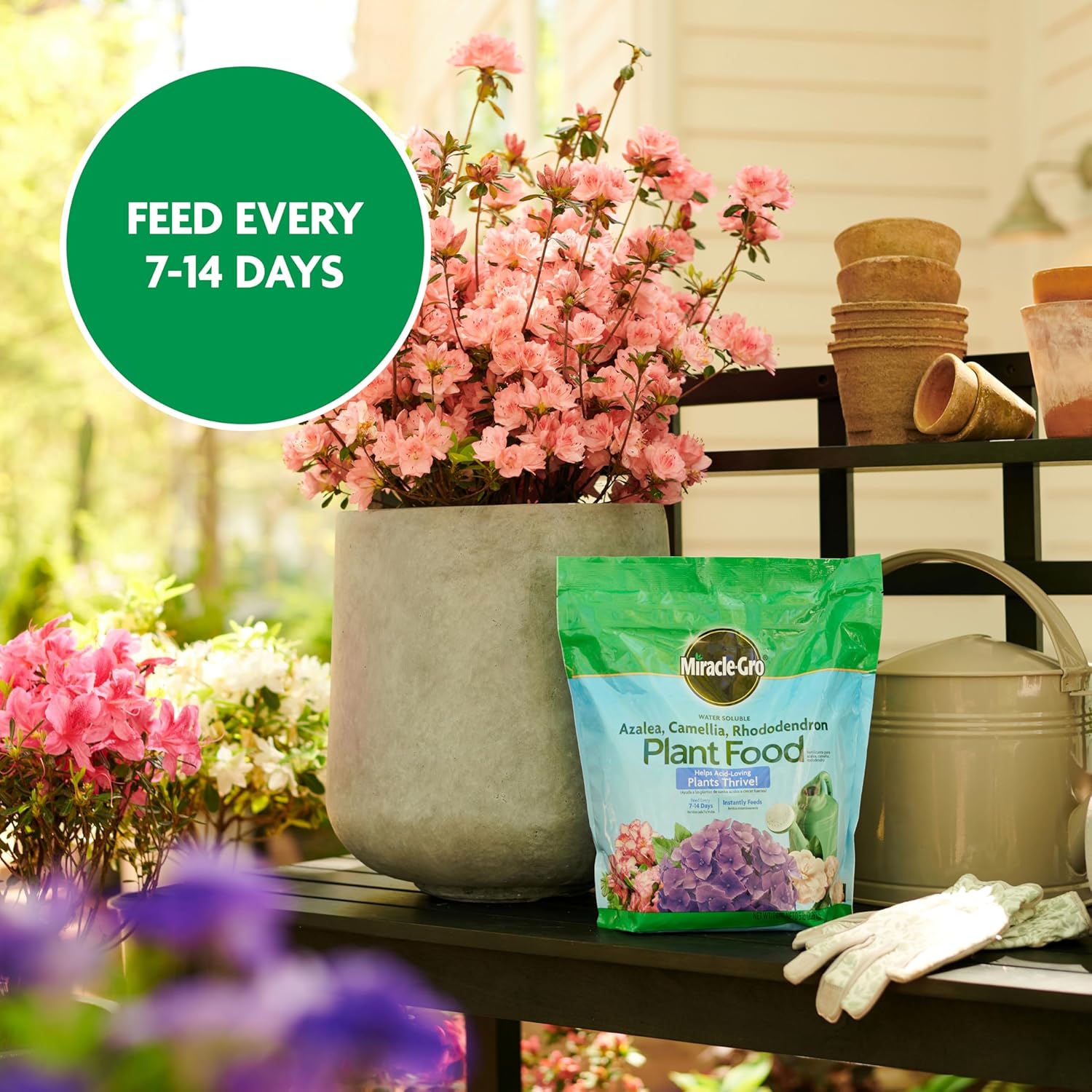 Miracle-Gro Water Soluble Plant Food - Fertilizer for Azaleas, Camellias & Rhododendrons, 5 lb.