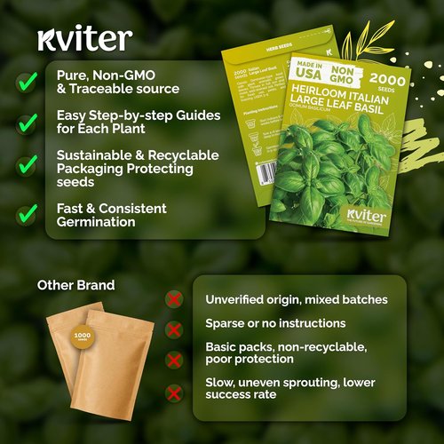 KVITER 2000 Italian Basil Seeds - Heirloom Sweet Genovese, Non-GMO for Indoor & Outdoor Gardens