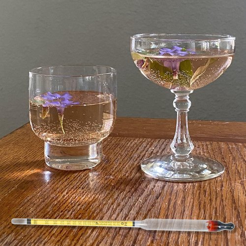 Hydrometer Alcohol Meter, Hydrometer Alcohol 0-200 Proof and Tralle Hydrometer, Alcoholmeter for Liquor/Moonshine/Proofing Distilled, Alcohol Proof Tester for Beginners and Experts Alike(2 Pcs)