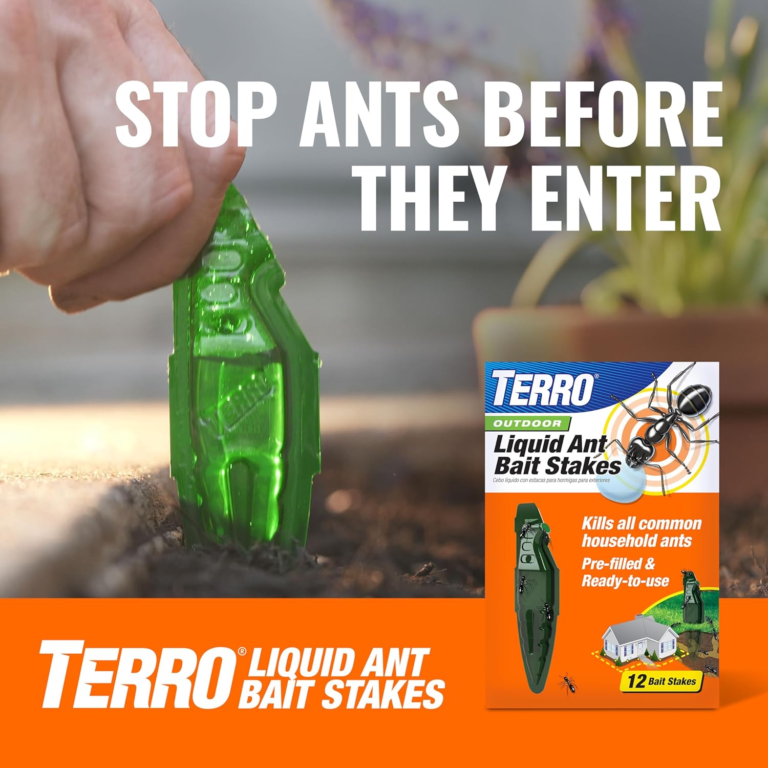 TERRO Indoor Ant Baits - Discreet Adhesive Strips for Effective Trapping - 4 Pack