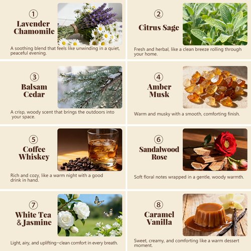 8 Pack Soy Wax Scented Candle Set - Lavender Chamomile, Citrus Sage, Amber Musk, Balsam Cedar, Coffee Whiskey - Long Lasting Aromatherapy Candles, Unisex Home & Gift Set