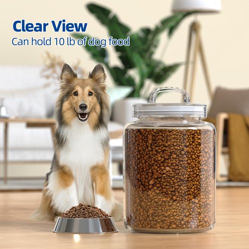 Daitouge 3 Gallon Glass Jar with Lid, Wide Mouth Large Glass Canister with lid, Super Large Cookie Jar for Food Storage, Sugar, Flour, Cookies,Dog Treats