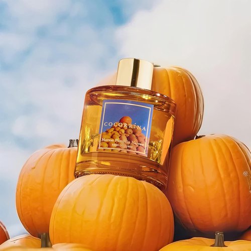 COCORRÍNA Reed Diffuser - Morton Pumpkin Harvest Set with 8 Sticks & Preserved Baby's Breath | Home Decor