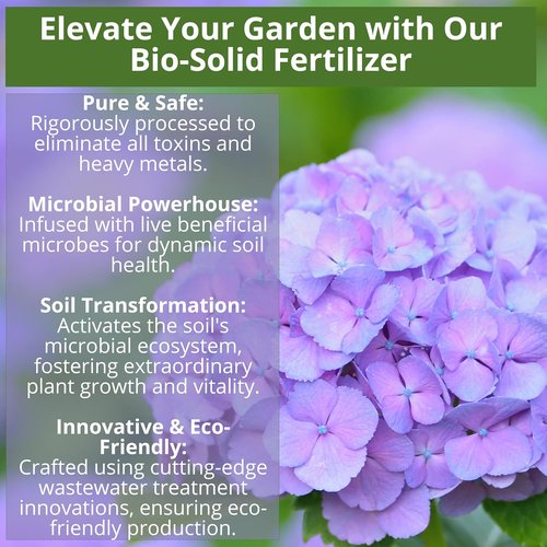 GardenWise 8-4-8 Acidic Fertilizer - Iron-Rich Plant Food for Azaleas, Hydrangeas & More | 12 OZ