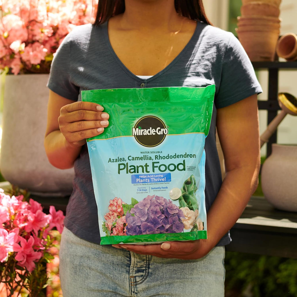 Miracle-Gro Water Soluble Plant Food - Fertilizer for Azaleas, Camellias & Rhododendrons, 5 lb.