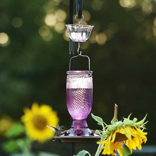 Kingsyard Hummingbird Feeder - 24 oz Outdoor Nectar Feeder with 6 Feeding Ports & Ant Moat | Easy Clean Purple
