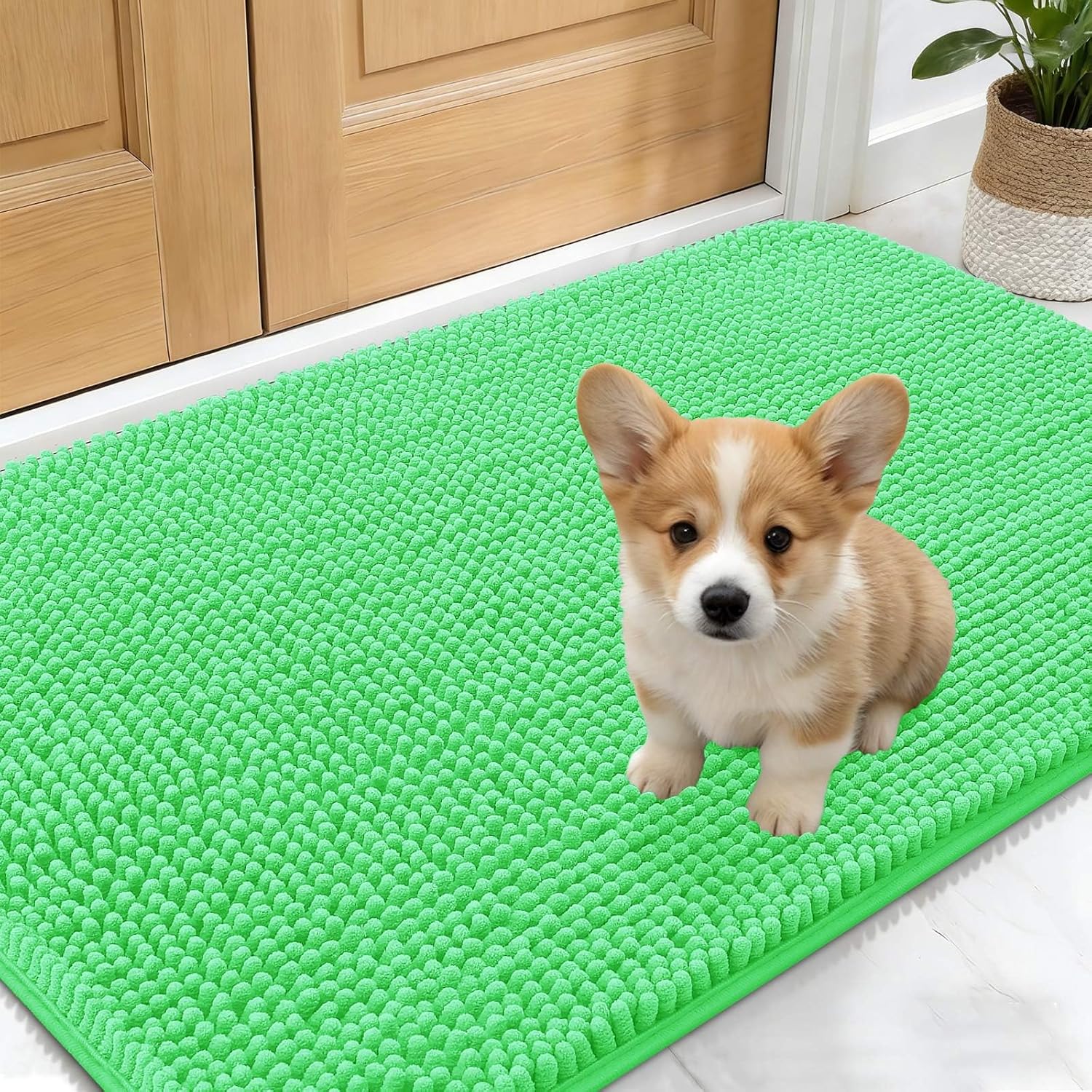 OLANLY Dog Door Mat - Absorbent Non-Slip Washable Doormat for Muddy Paws | 24x16 Mint Green