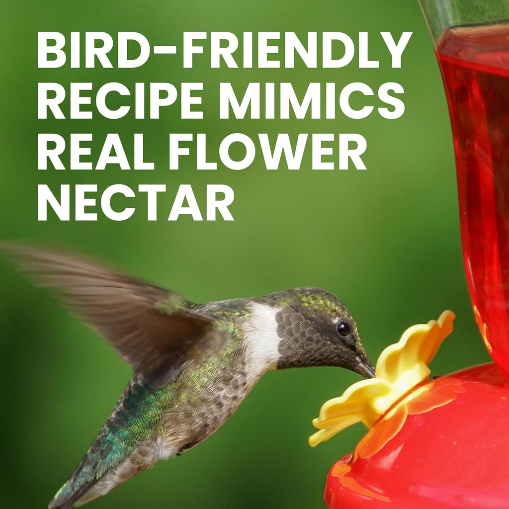 Perky-Pet Hummingbird Nectar Concentrate - 32 oz | Makes 96 FL OZ of Sweet Red Nectar