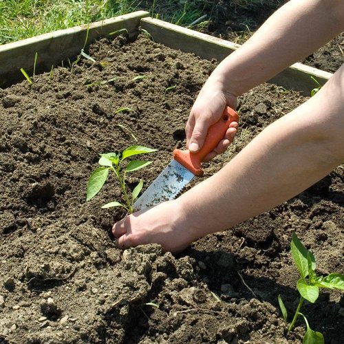 A.M. Leonard Classic Soil Knife & Leather Sheath Combo – Hori Hori w/ 6-Inch Stainless Steel Blade